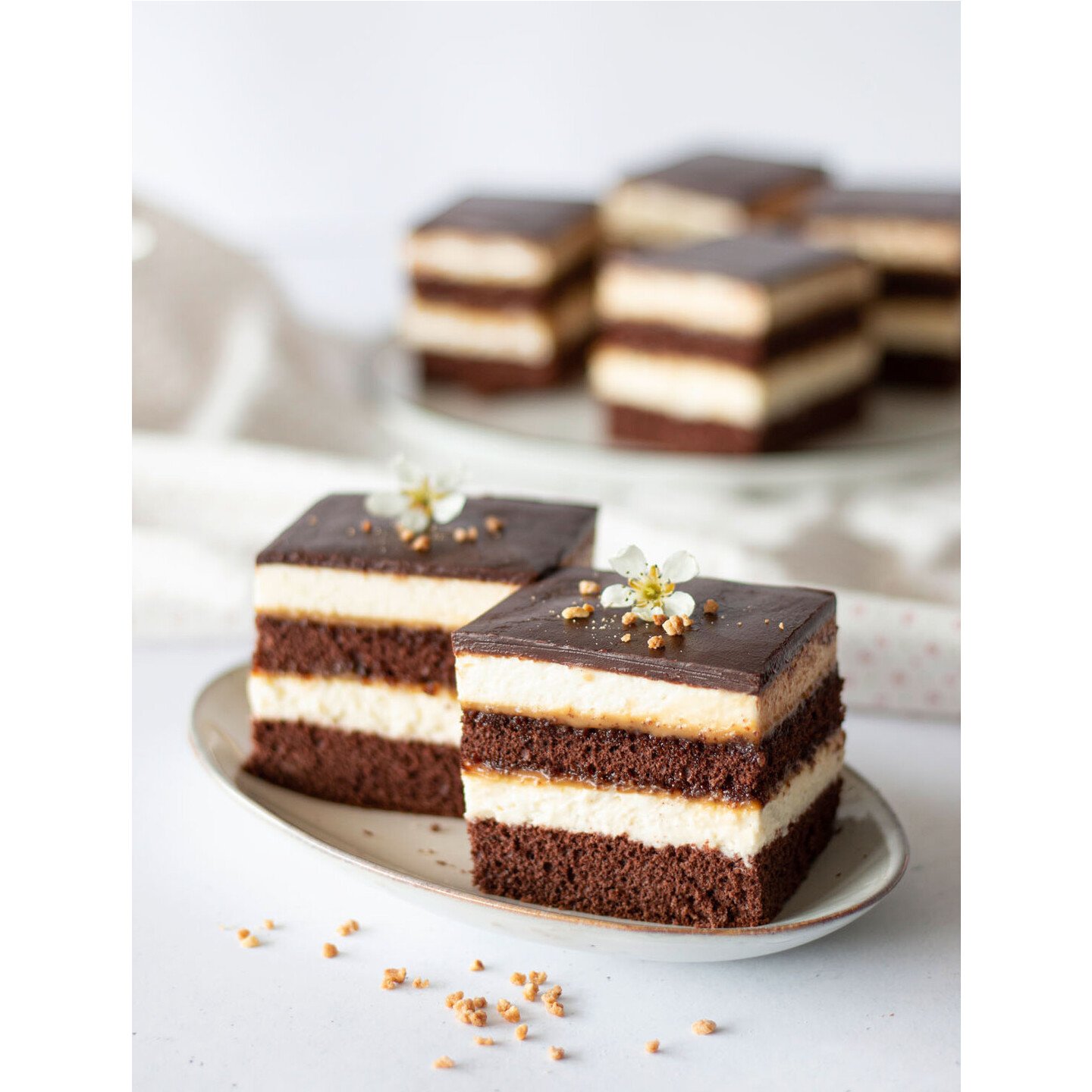 Städter Backrand verstellbar Edelstahl 25-50 x 22-41 cm H. 7 cm ...