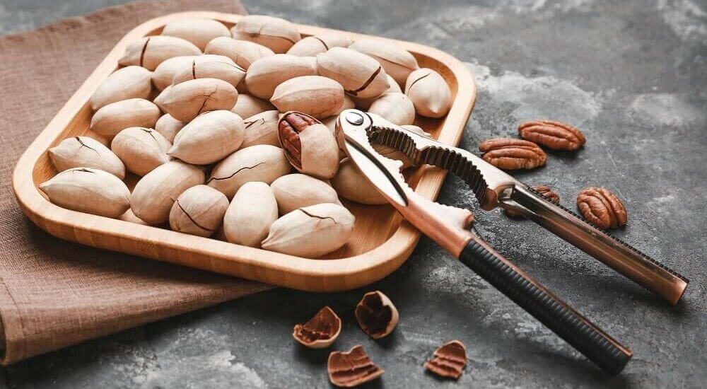 Nussknacker-Pekannuss