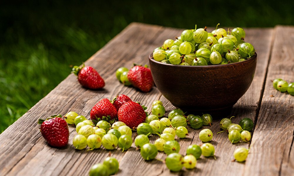 Erdbeer-Stachelbeer-Marmelade 1000x600px