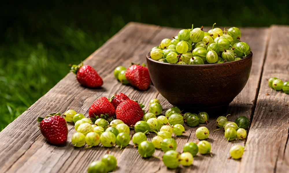 Erdbeer-Stachelbeer-Marmelade 1000x600px