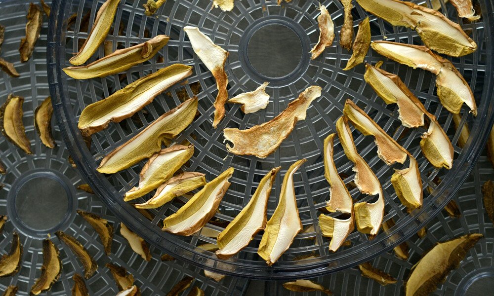 magazin-pilze-verarbeiten id99714