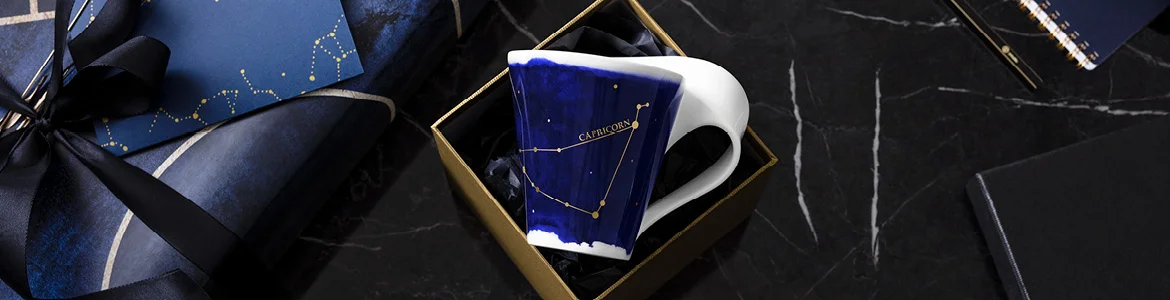 Villeroy & Boch NewWave Stars