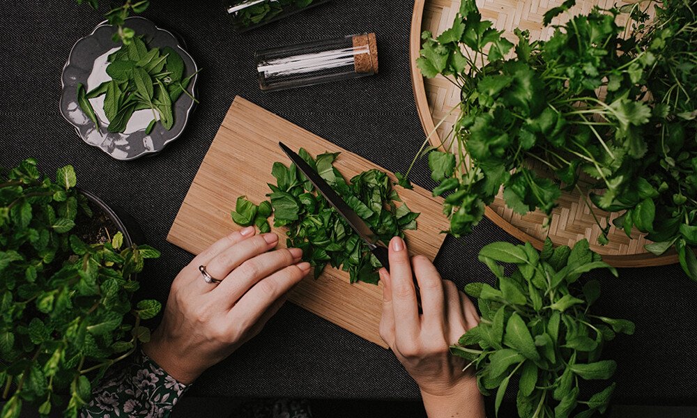 Kräuter zerkleinern und aufbewahren