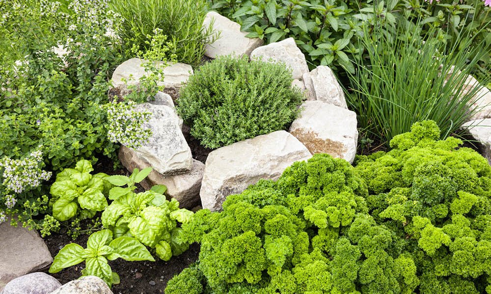 Magazin Kräutergarten