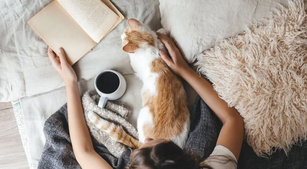 Hygge Wohntrend