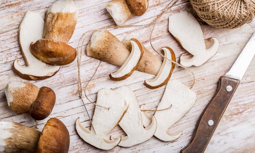 magazin-pilze-verarbeiten id99712