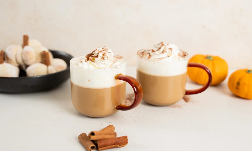 herbst-kuerbis-rezept-getraenk-kakao2