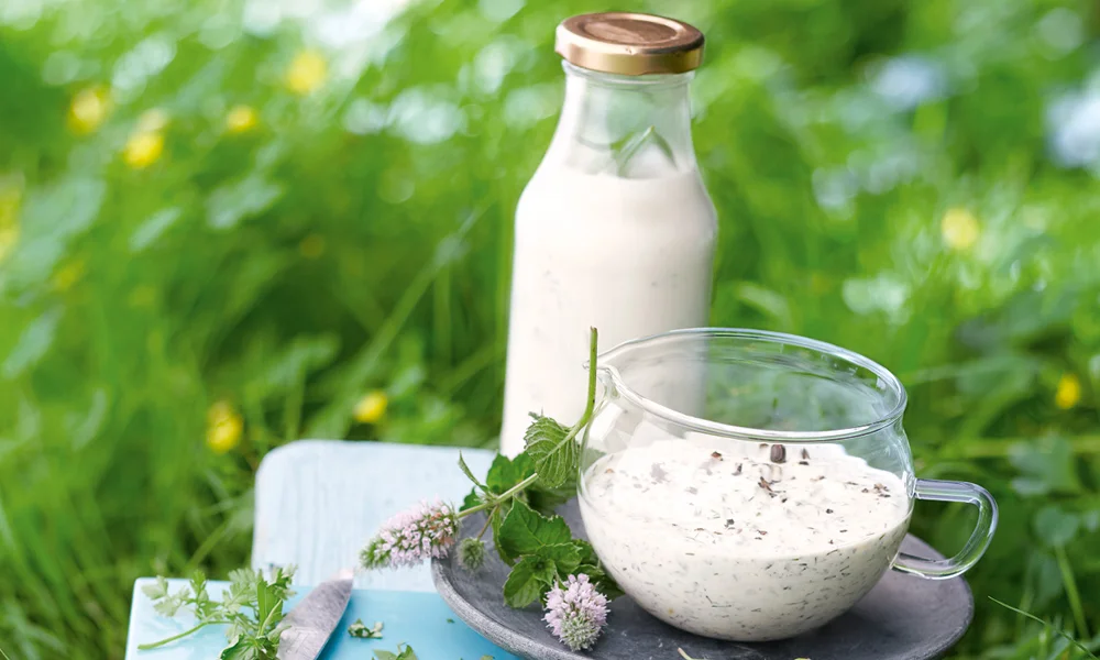 tischwelt Kräuter Basisrezepte frische Kräuter Kräutergarten Rezeptidee Salatdressing Kräuterquark