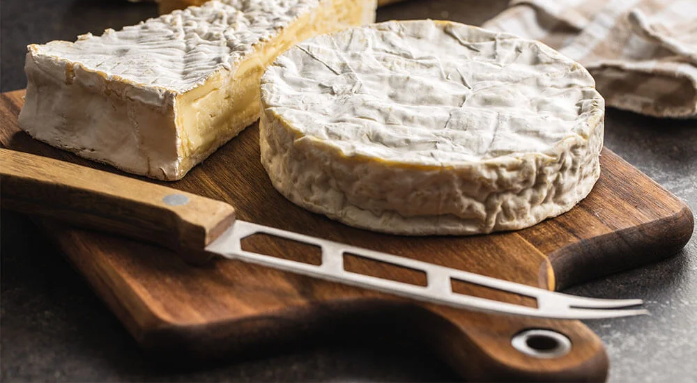 Messer für Käse