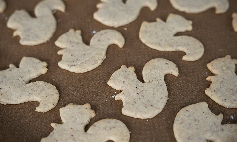 haselnuss-plaetzchen-eichhoernle-weihnachtsrezept-backen-4