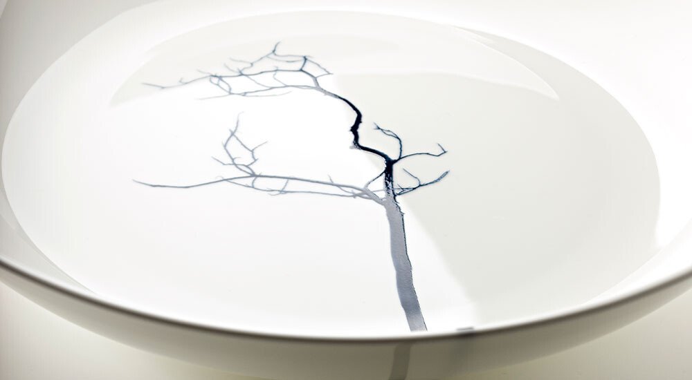 dibbern-teller-black-forest