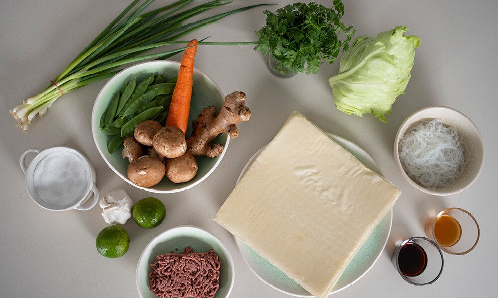 fruehlingsrollen-rezept-rosenthal-junto-porzelan-geschirr2