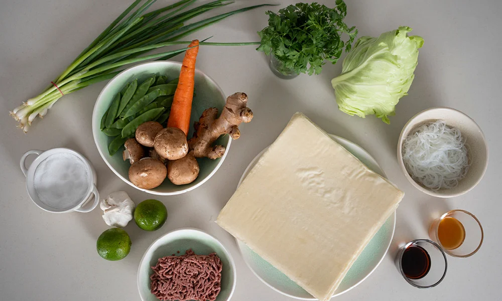 fruehlingsrollen-rezept-rosenthal-junto-porzelan-geschirr2