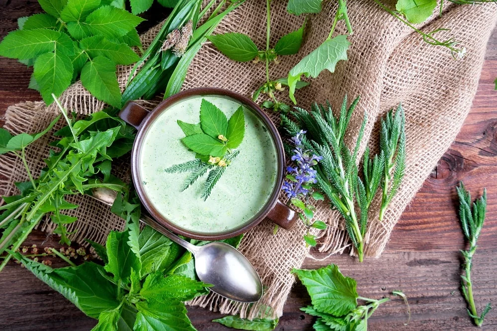 suppe-aus-wildkraeutern.