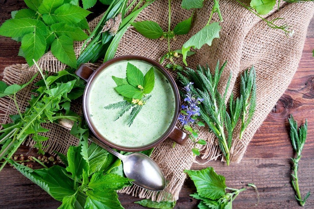 suppe-aus-wildkraeutern.