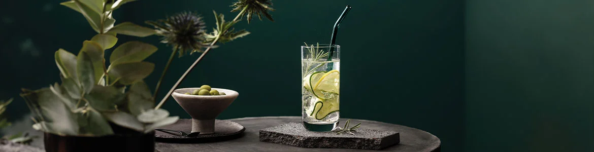 Villeroy & Boch Longdrinkgläser