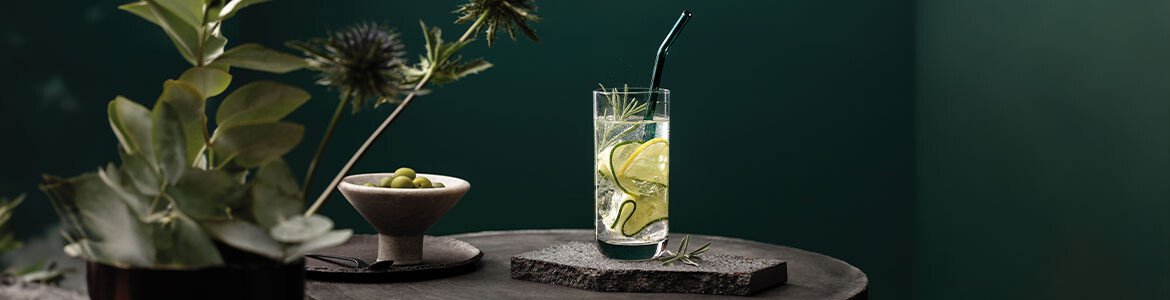 Villeroy & Boch Longdrinkgläser